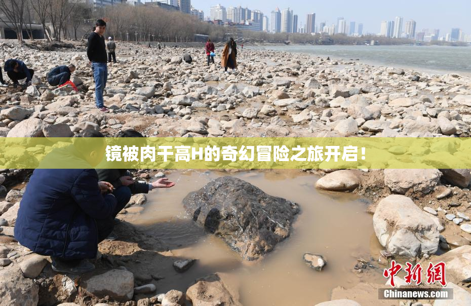 镜被肉干高H的奇幻冒险之旅开启！