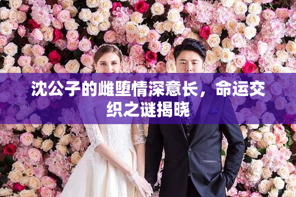 沈公子的雌堕情深意长，命运交织之谜揭晓
