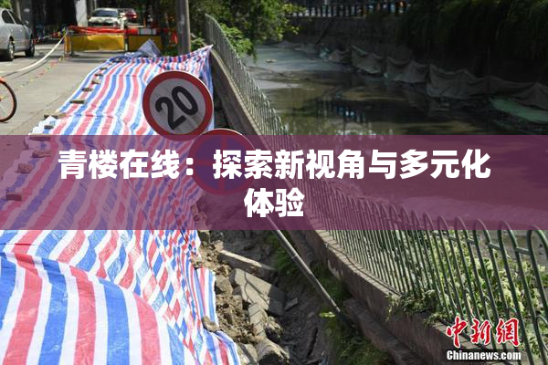 青楼在线：探索新视角与多元化体验