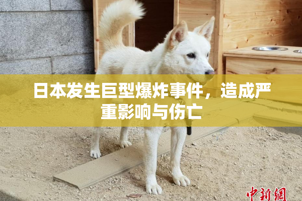 日本发生巨型爆炸事件，造成严重影响与伤亡