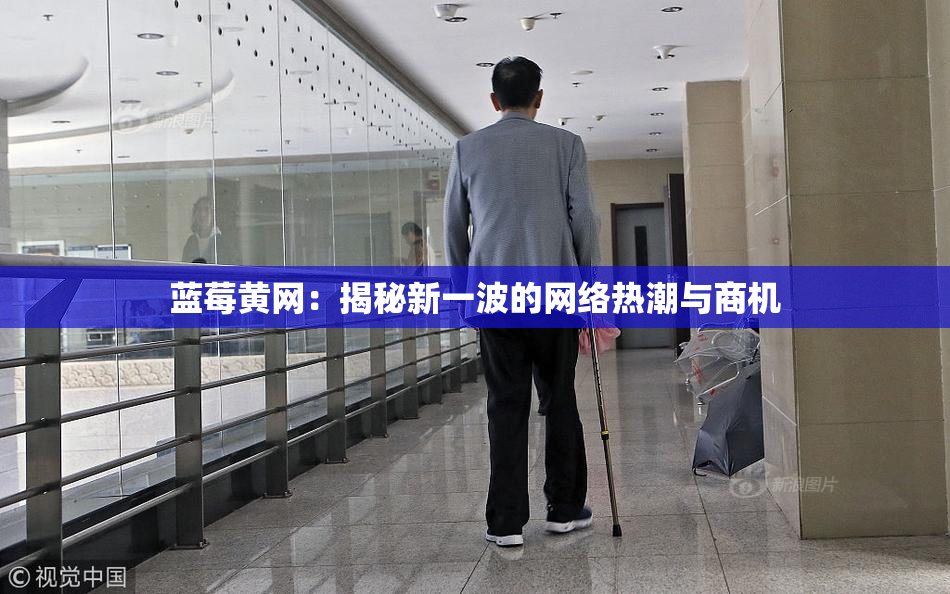 蓝莓黄网：揭秘新一波的网络热潮与商机