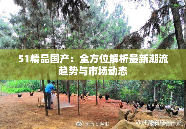51精品国产：全方位解析最新潮流趋势与市场动态