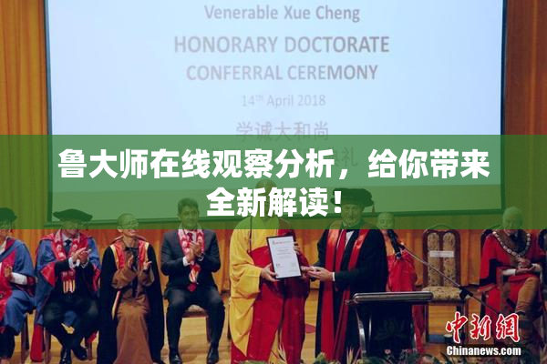 鲁大师在线观察分析，给你带来全新解读！