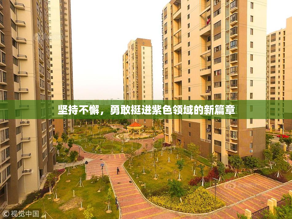 坚持不懈，勇敢挺进紫色领域的新篇章
