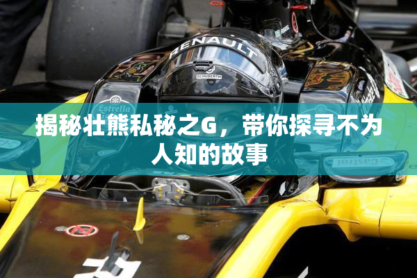 揭秘壮熊私秘之G，带你探寻不为人知的故事