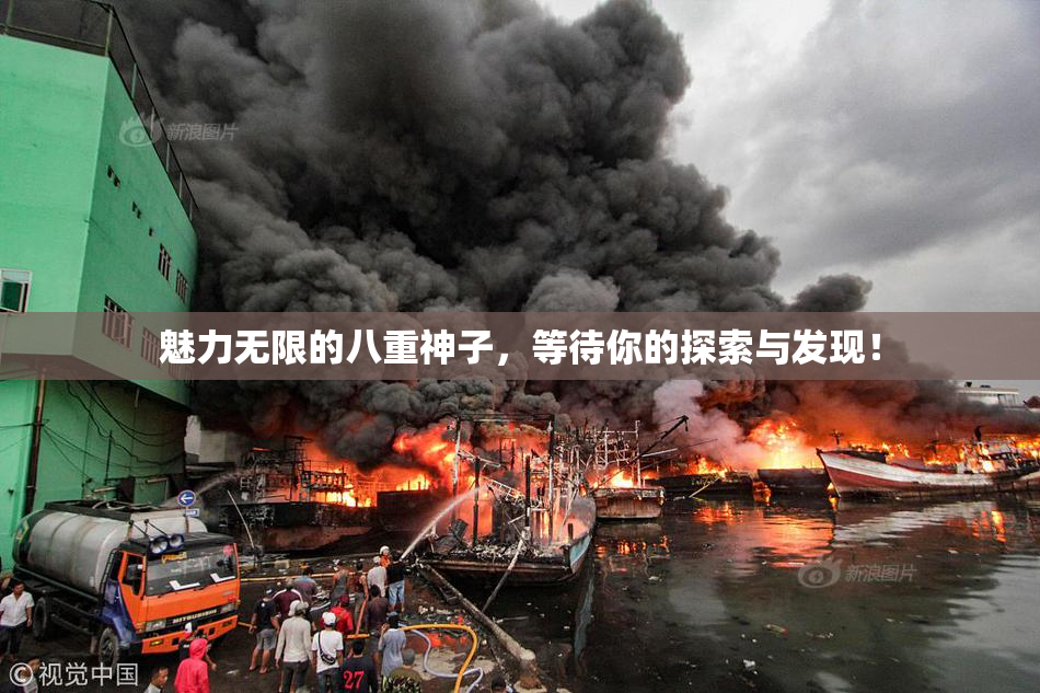 魅力无限的八重神子，等待你的探索与发现！