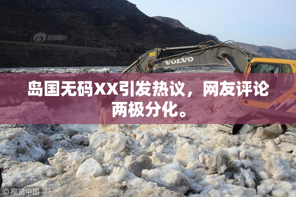 岛国无码XX引发热议，网友评论两极分化。