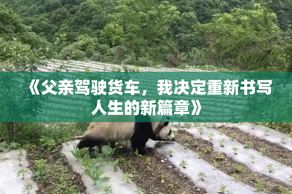 《父亲驾驶货车，我决定重新书写人生的新篇章》