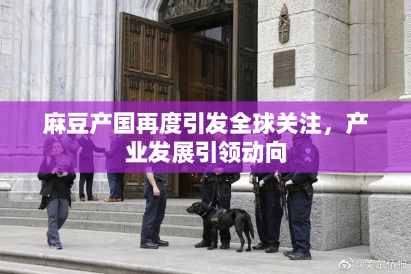 麻豆产国再度引发全球关注，产业发展引领动向