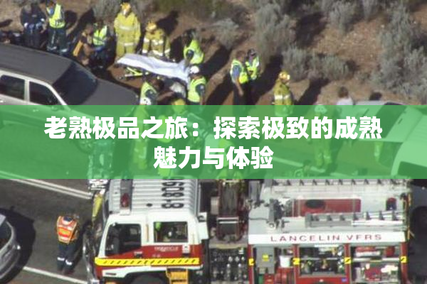 老熟极品之旅：探索极致的成熟魅力与体验