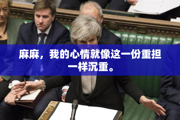 麻麻，我的心情就像这一份重担一样沉重。