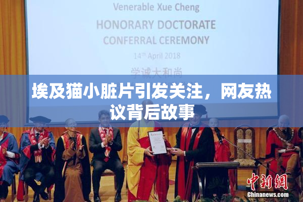 埃及猫小脏片引发关注，网友热议背后故事
