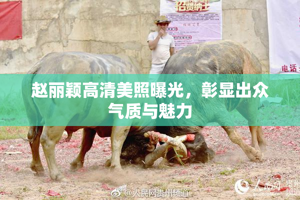 赵丽颖高清美照曝光，彰显出众气质与魅力