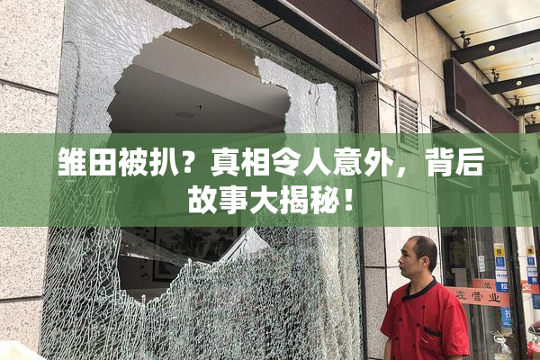 雏田被扒？真相令人意外，背后故事大揭秘！