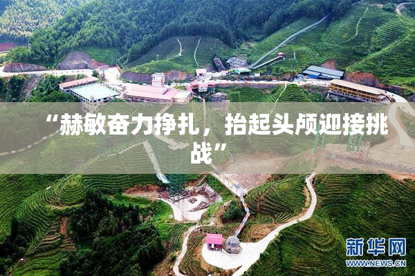 “赫敏奋力挣扎，抬起头颅迎接挑战”
