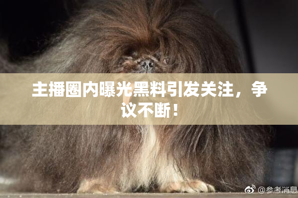 主播圈内曝光黑料引发关注，争议不断！