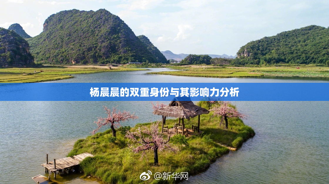 杨晨晨的双重身份与其影响力分析