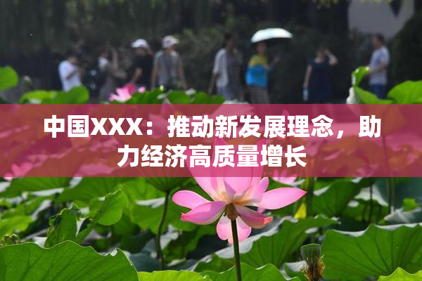 中国XXX：推动新发展理念，助力经济高质量增长