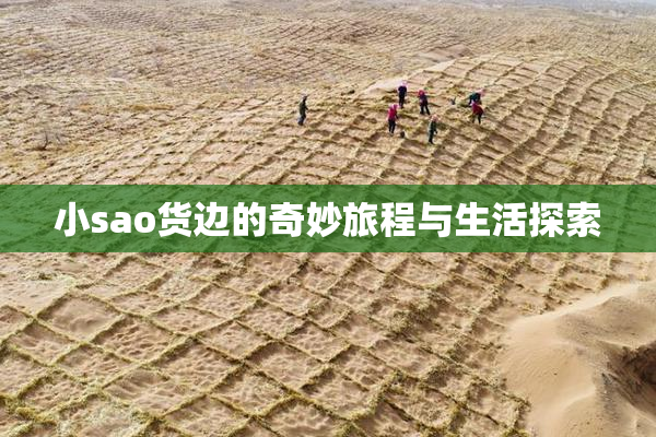 小sao货边的奇妙旅程与生活探索