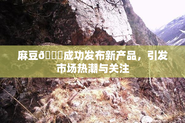 麻豆🔞成功发布新产品，引发市场热潮与关注