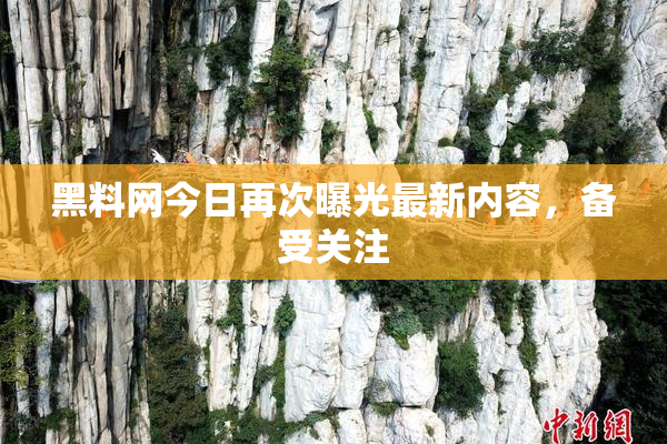 黑料网今日再次曝光最新内容，备受关注