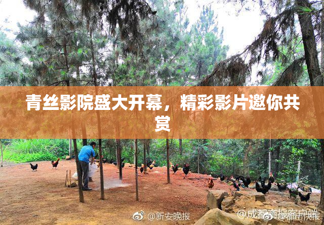 青丝影院盛大开幕，精彩影片邀你共赏