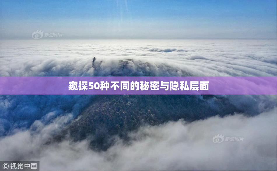 窥探50种不同的秘密与隐私层面