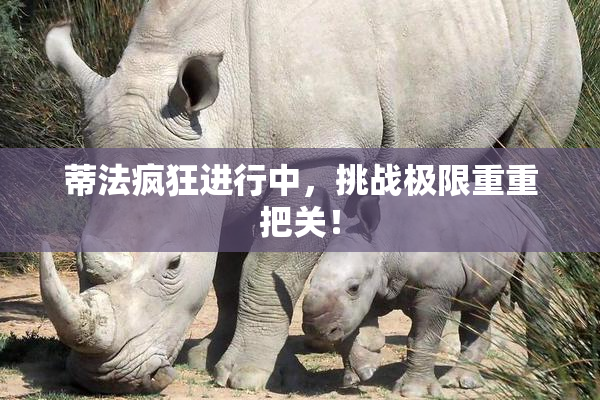蒂法疯狂进行中，挑战极限重重把关！