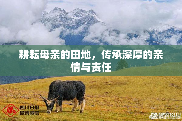 耕耘母亲的田地，传承深厚的亲情与责任