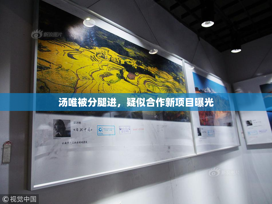 汤唯被分腿进，疑似合作新项目曝光