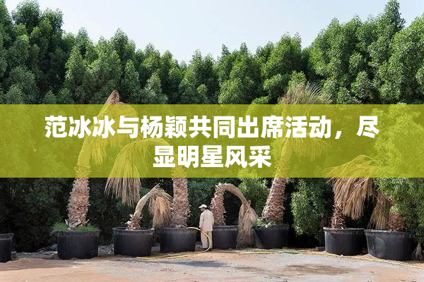 范冰冰与杨颖共同出席活动，尽显明星风采