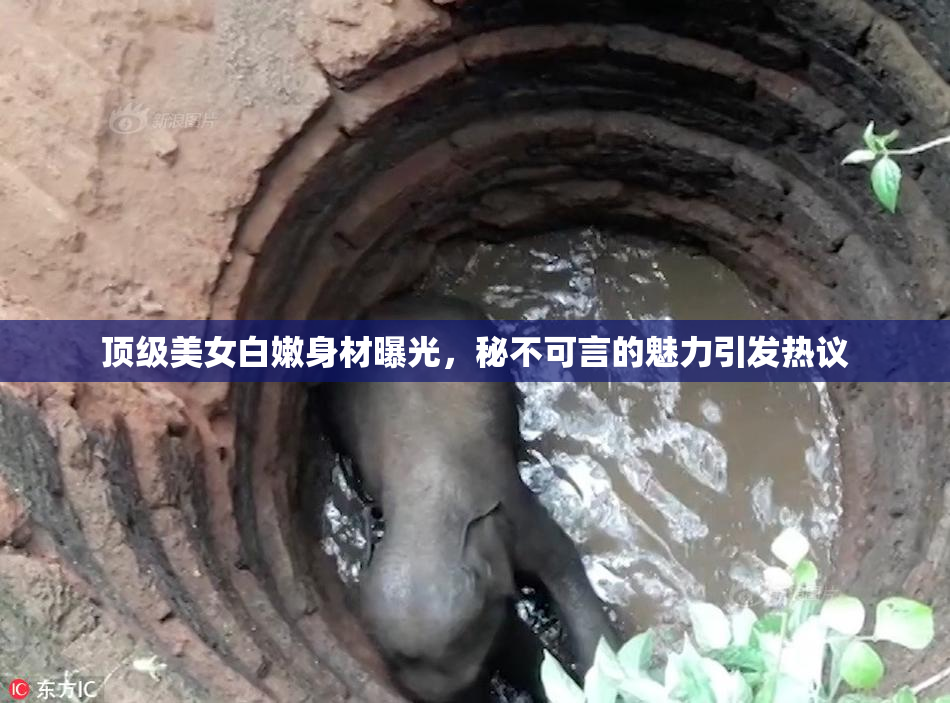 顶级美女白嫩身材曝光，秘不可言的魅力引发热议