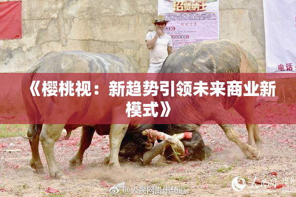 《樱桃视：新趋势引领未来商业新模式》