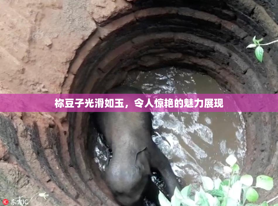 祢豆子光滑如玉，令人惊艳的魅力展现