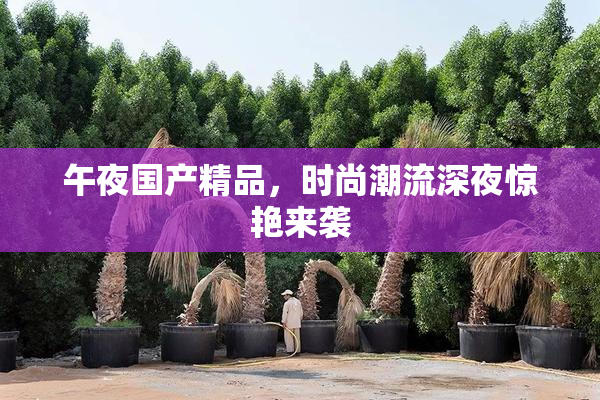 午夜国产精品，时尚潮流深夜惊艳来袭