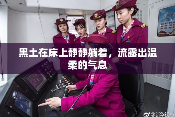 黑土在床上静静躺着，流露出温柔的气息