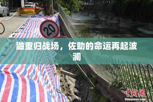 鼬重归战场，佐助的命运再起波澜