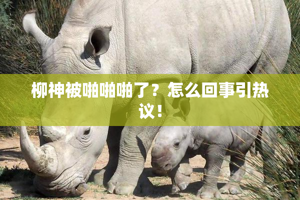 柳神被啪啪啪了？怎么回事引热议！