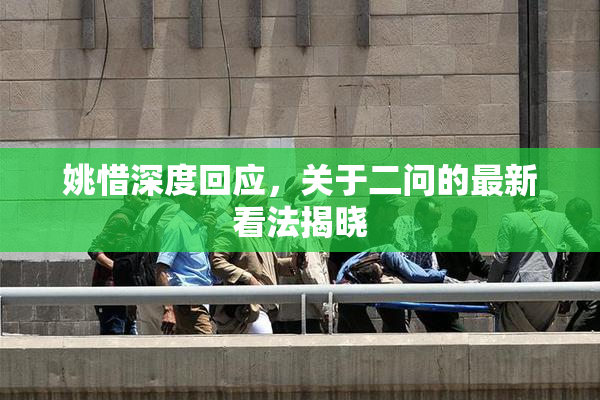 姚惜深度回应，关于二问的最新看法揭晓