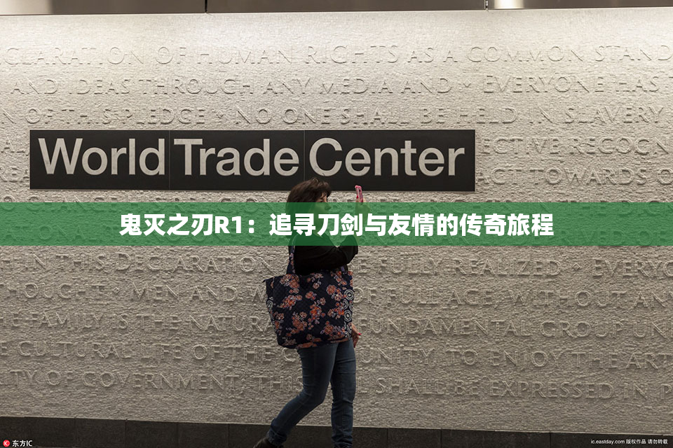 鬼灭之刃R1：追寻刀剑与友情的传奇旅程