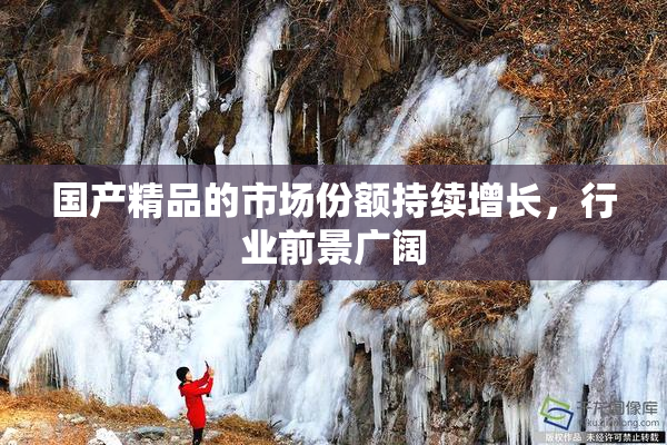 国产精品的市场份额持续增长，行业前景广阔