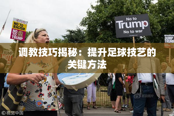 调教技巧揭秘：提升足球技艺的关键方法