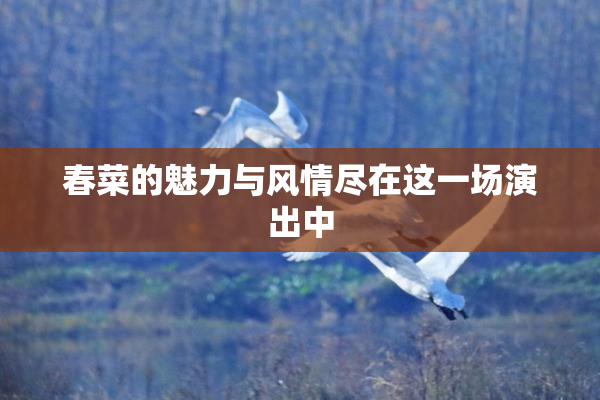 春菜的魅力与风情尽在这一场演出中