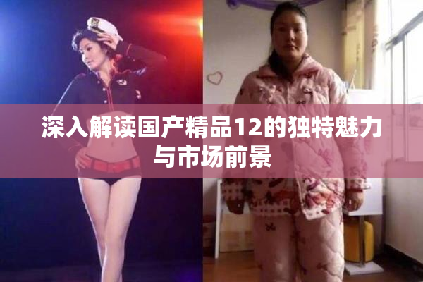 深入解读国产精品12的独特魅力与市场前景