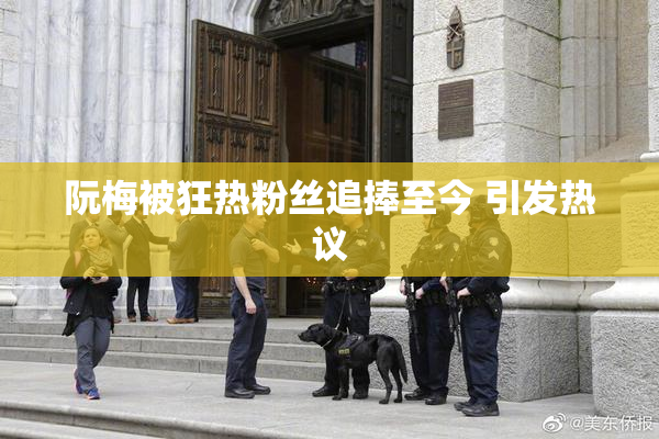 阮梅被狂热粉丝追捧至今 引发热议