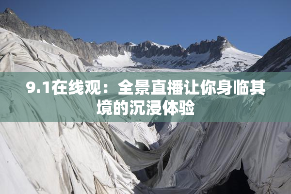 9.1在线观：全景直播让你身临其境的沉浸体验