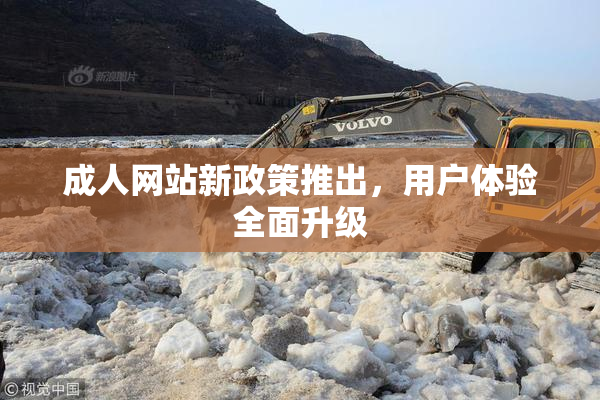 成人网站新政策推出，用户体验全面升级