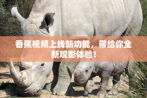 香蕉视频上线新功能，带给你全新观影体验！