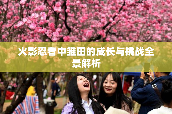 火影忍者中雏田的成长与挑战全景解析