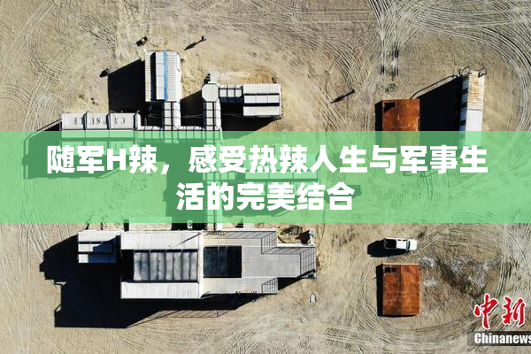 随军H辣，感受热辣人生与军事生活的完美结合
